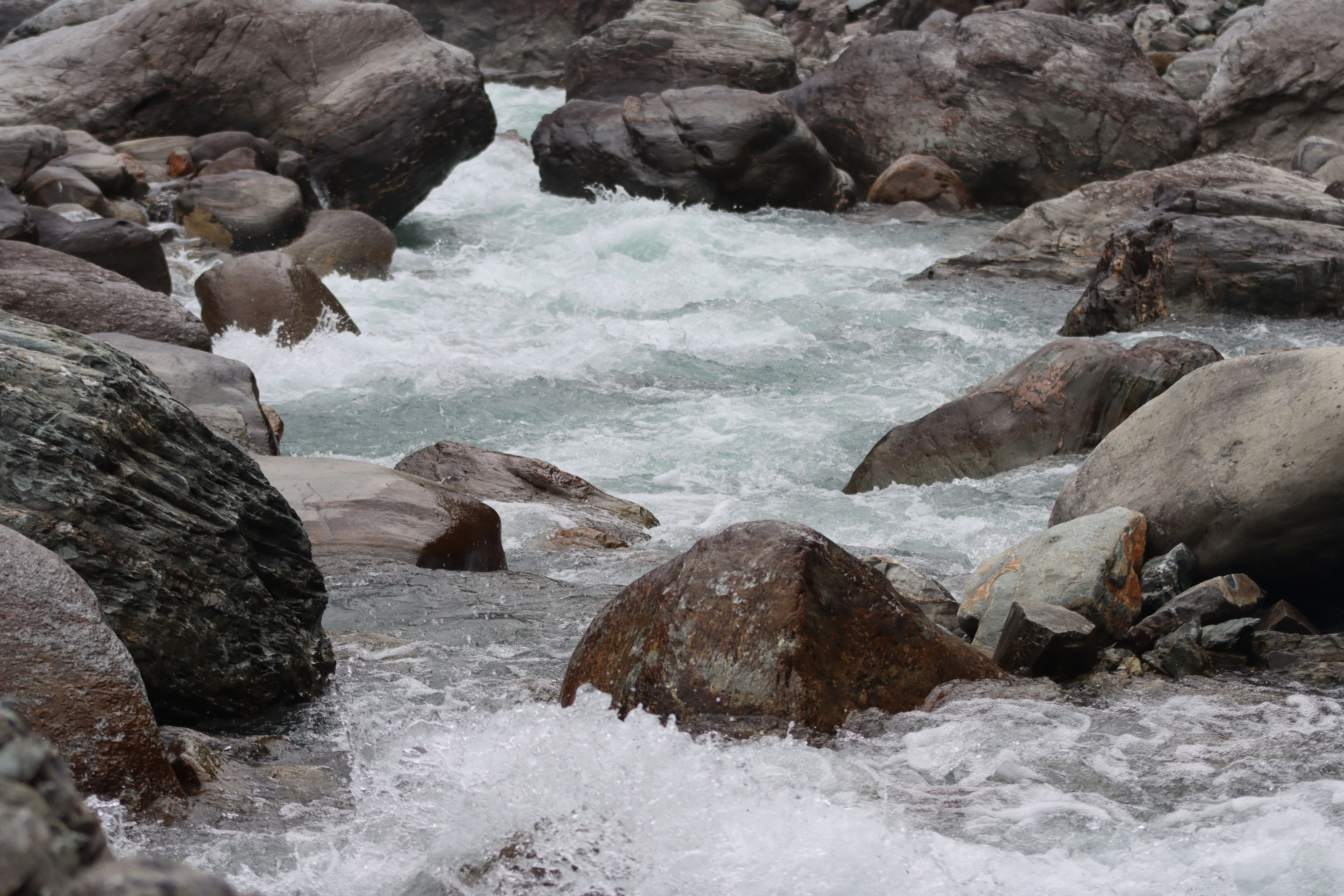 Pahadi Dooars (Suntalekhola Paren 3 Nights / 4 Days)